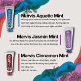 Kem Đánh Răng Marvis Jasmin Mint 25ml Fullbox