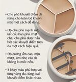 Che khuyết điểm Tfit Cover Up Pro Concealer #01 NEUTRAL
