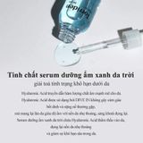 Tinh Chất Dưỡng Ẩm Phục Hồi Torriden Dive In Low Molecular Hyaluronic Acid Serum 50ml