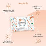 Khăn Ướt Vệ Sinh VK Hằng Ngày FEMFRESH Intimate Skin Care Daily Wipes - 25 Tờ ( Có Tem Phụ)