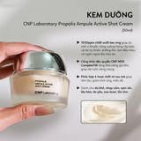 Kem Dưỡng Tái Tạo Phục Hồi Da CNP Laboratory Propolis Active Cream 50ml (Hũ Tách Set Nobox)