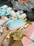 YSL Small Pouch Blue & Pink 8x17x5cm