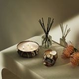 Nến Thơm VOLUSPA Forbidden Fig Travel Candle in Metal Tin Fig Minisize