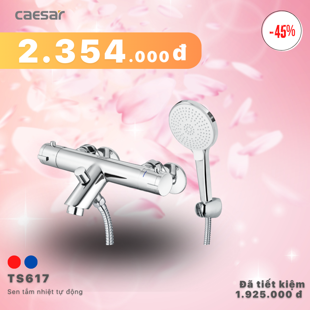 Khuyến mãi ưu đãi Sen tắm nhiệt tự động - TS617