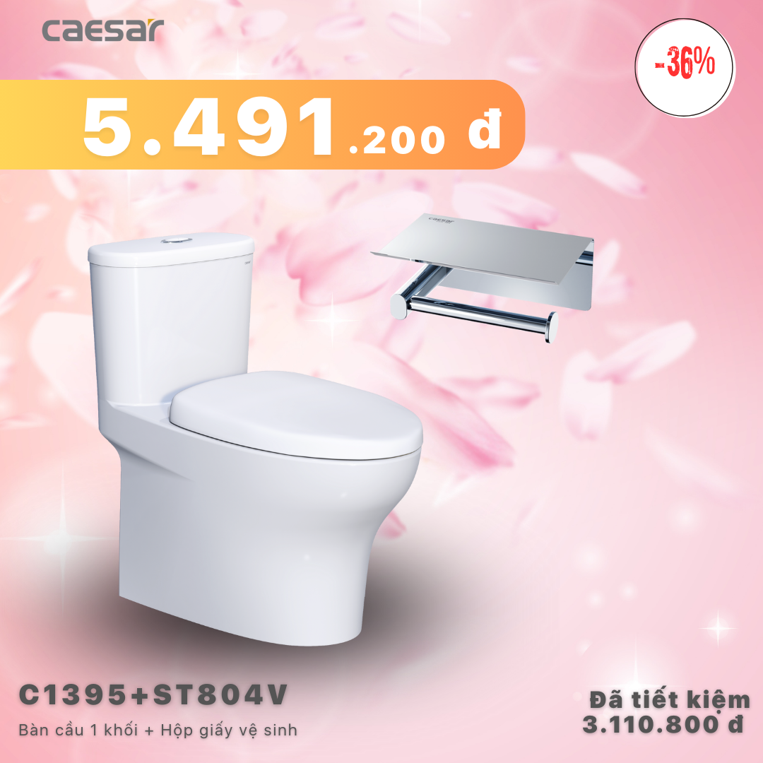 Khuyến mãi ưu đãi Bàn Cầu Một khối + Hộp đựng giấy vệ sinh - C1395 + ST804V
