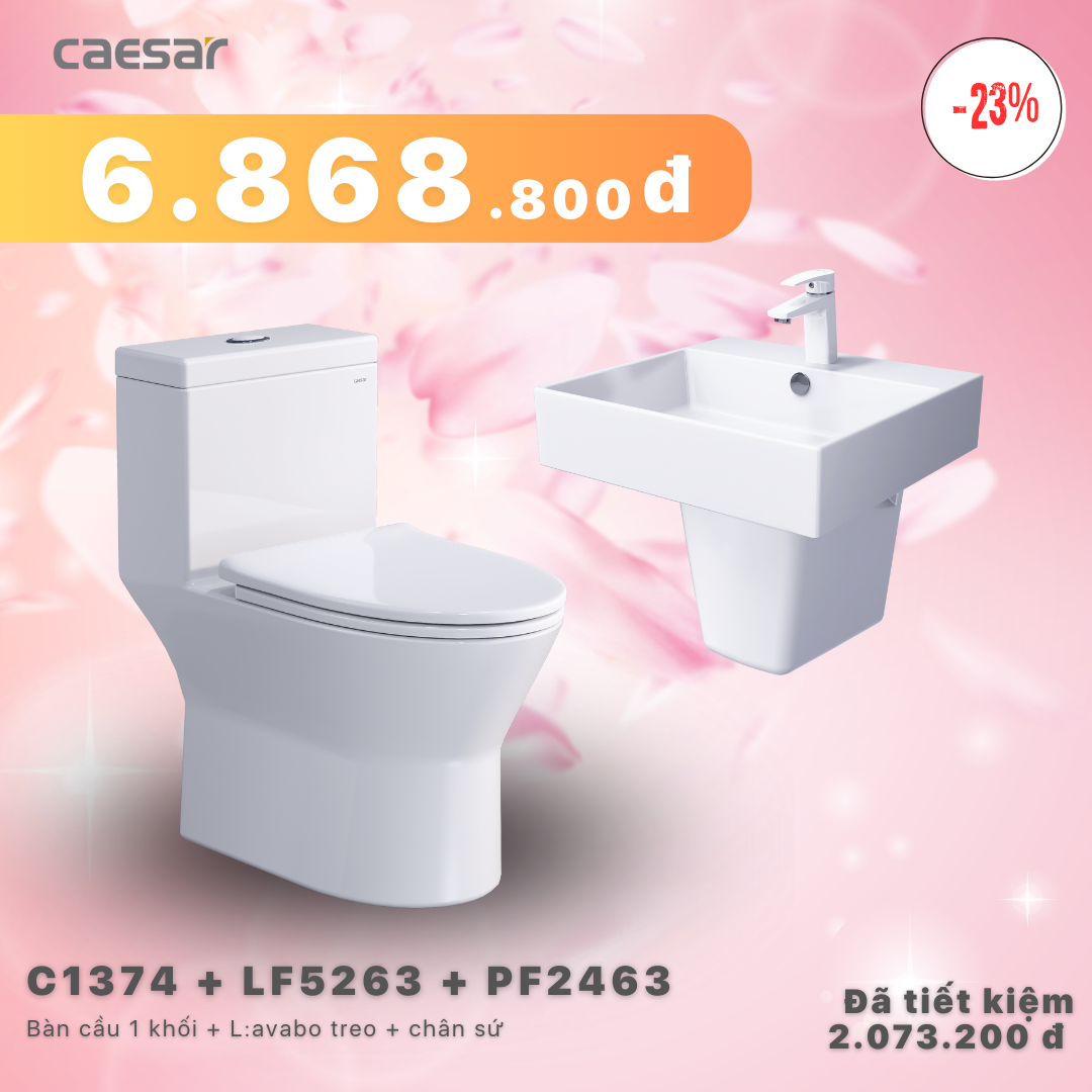 Khuyến mãi ưu đãi - Bàn cầu một khối + Lavabo + Chân treo - C1374 + LF5263 + PF2463