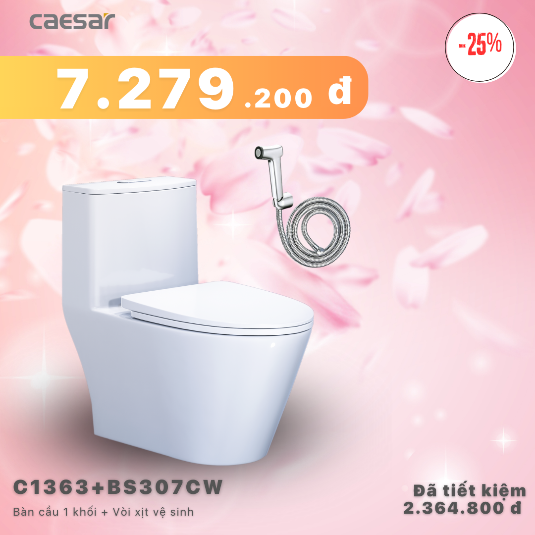 Khuyến mãi ưu đãi Bàn cầu một khối + Vòi xịt - C1363 + BS307CW