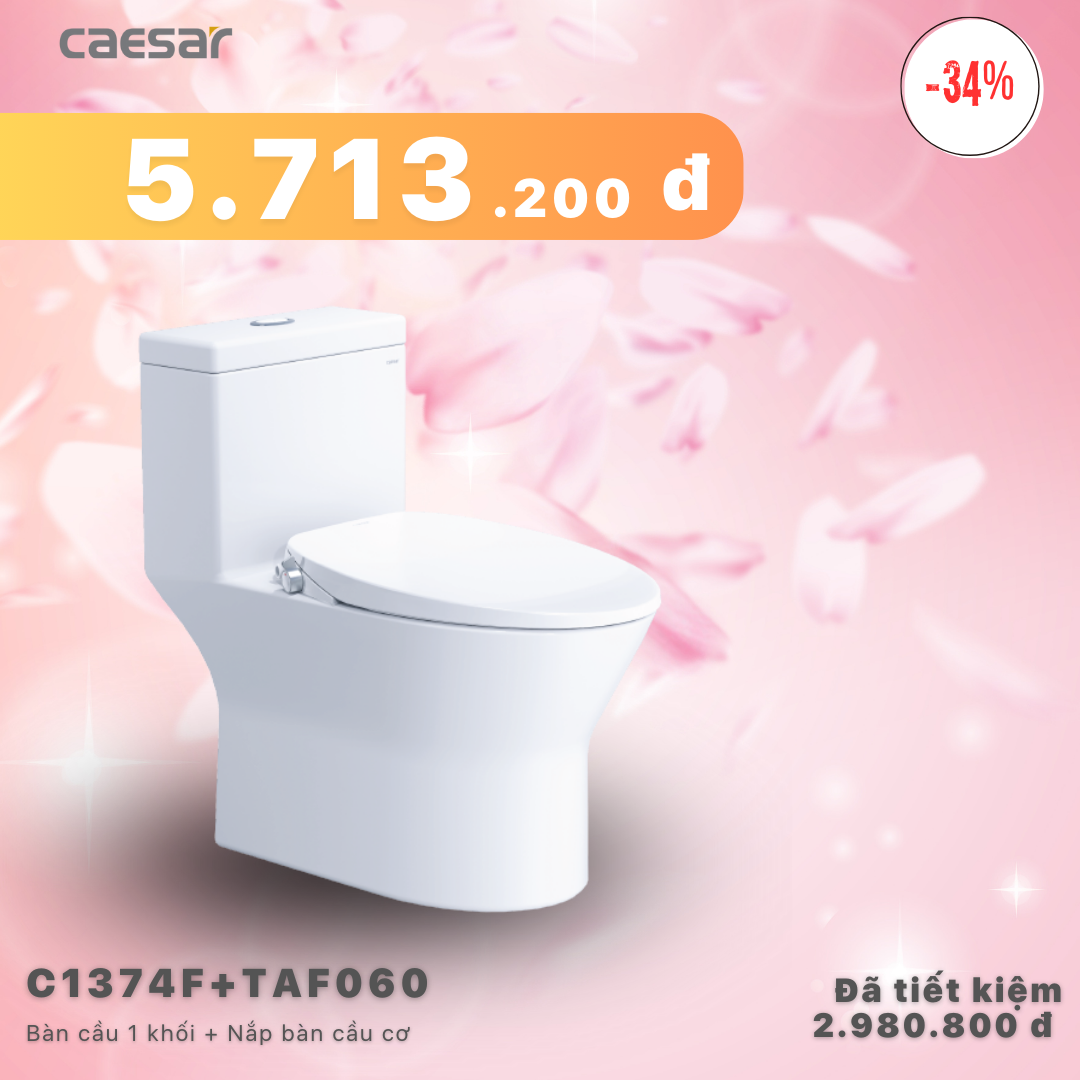 Khuyến mãi ưu đãi - Bàn cầu một khối + Nắp bàn Cầu Cơ - C1374F + TAF060