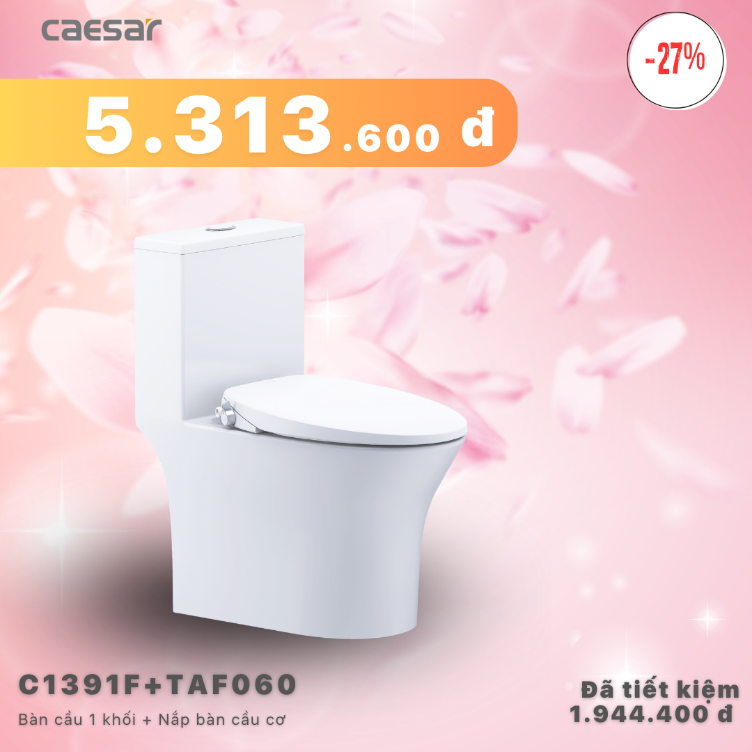 Khuyến mãi ưu đãi - Bàn cầu một khối + Nắp cơ đa năng - C1391F - TAF060