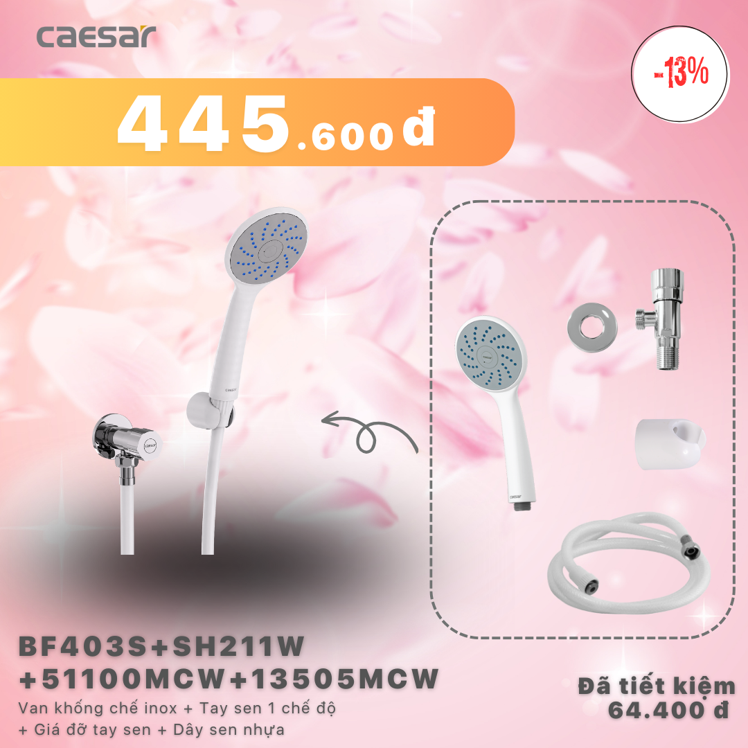 Khuyến mãi ưu đãi - Van khống chế inox + Tay sen nhựa 1 chế độ + Pát đỡ tay sen + Dây sen nhựa - BF403S + SH211W + 51100MCW + 13505MCW