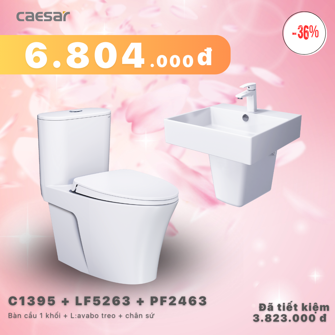 Khuyến mãi ưu đãi - Bàn cầu một khối + Lavabo + Chân treo - C1395 + LF5263 + PF2463