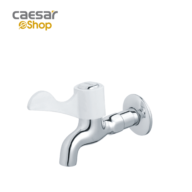 Vòi Lạnh Gắn Tường - W027C