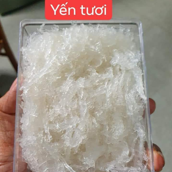 Yến tươi