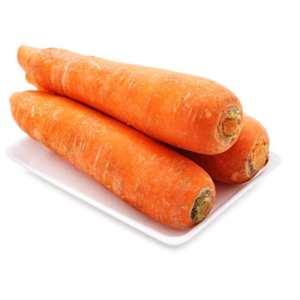  Cà rốt thường 