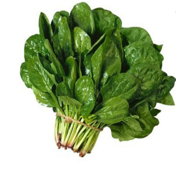 Cải bó xôi
