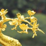 Cây Hoa Đào bonsai mạ vàng