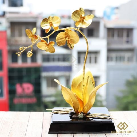 Hoa phong lan Hồ điệp mạ vàng