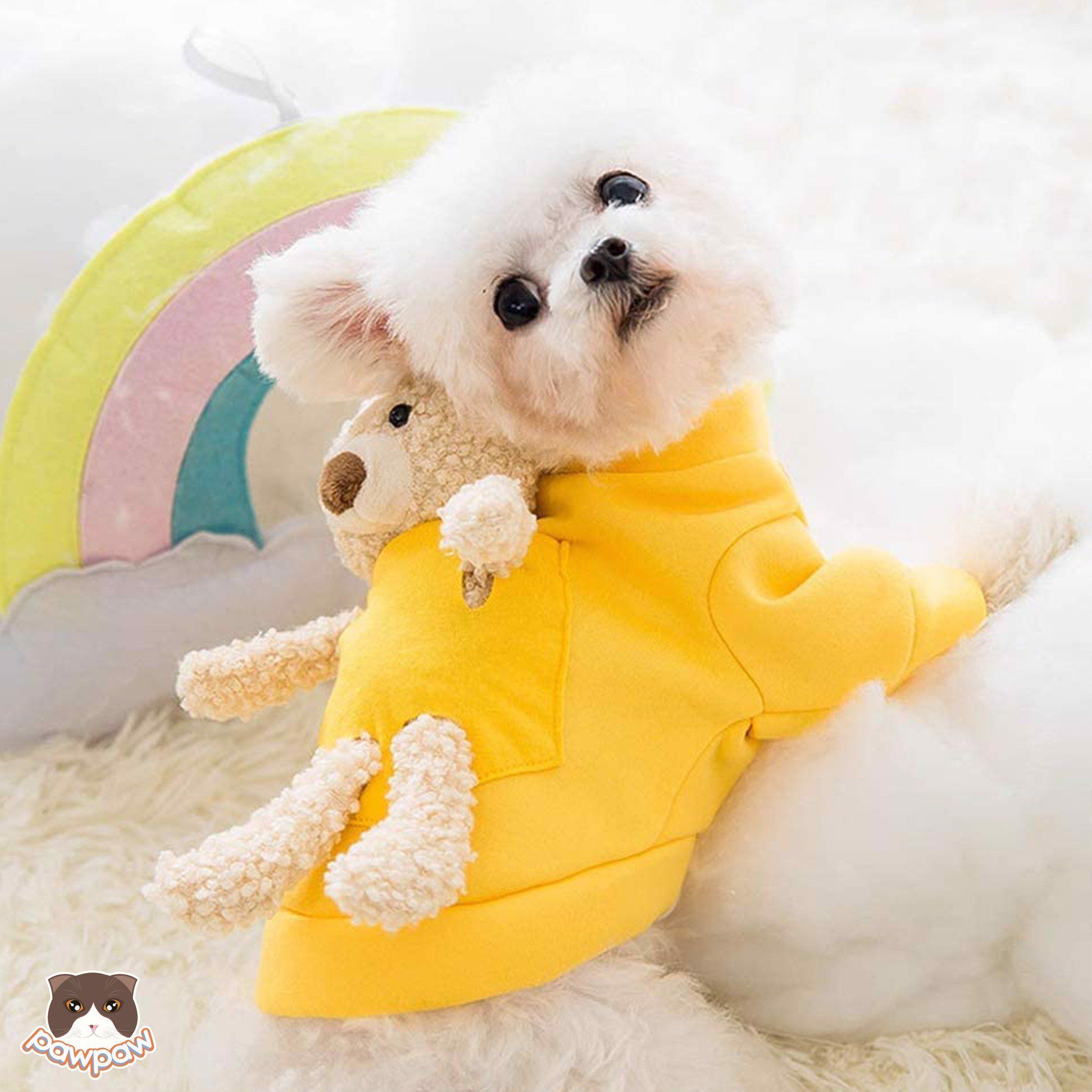Áo gấu Teddy cho chó mèo