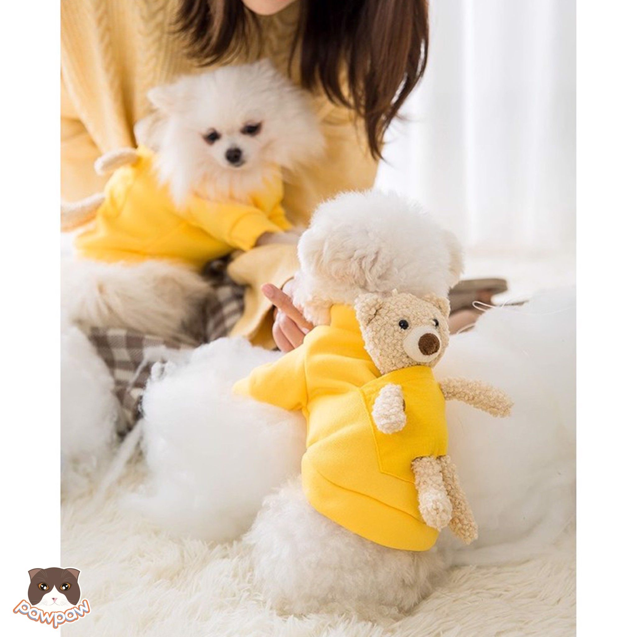 Áo gấu Teddy cho chó mèo