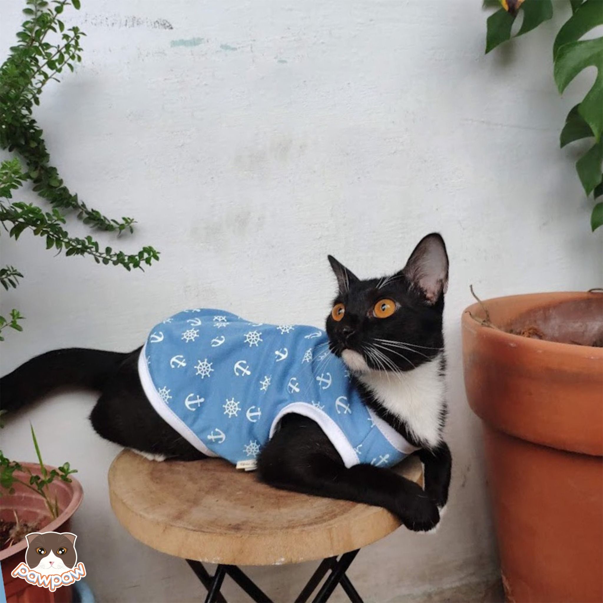 Áo sát nách DG thủy thủ xanh cho chó mèo