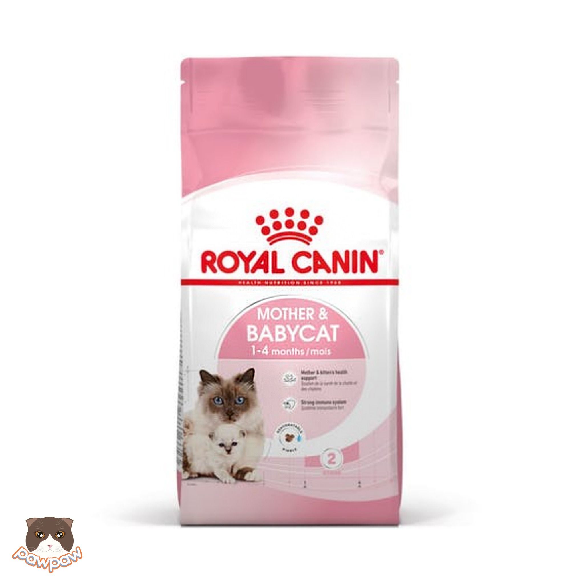 Hạt Royal Canin Mother & Baby Cat cho mèo mẹ & mèo con
