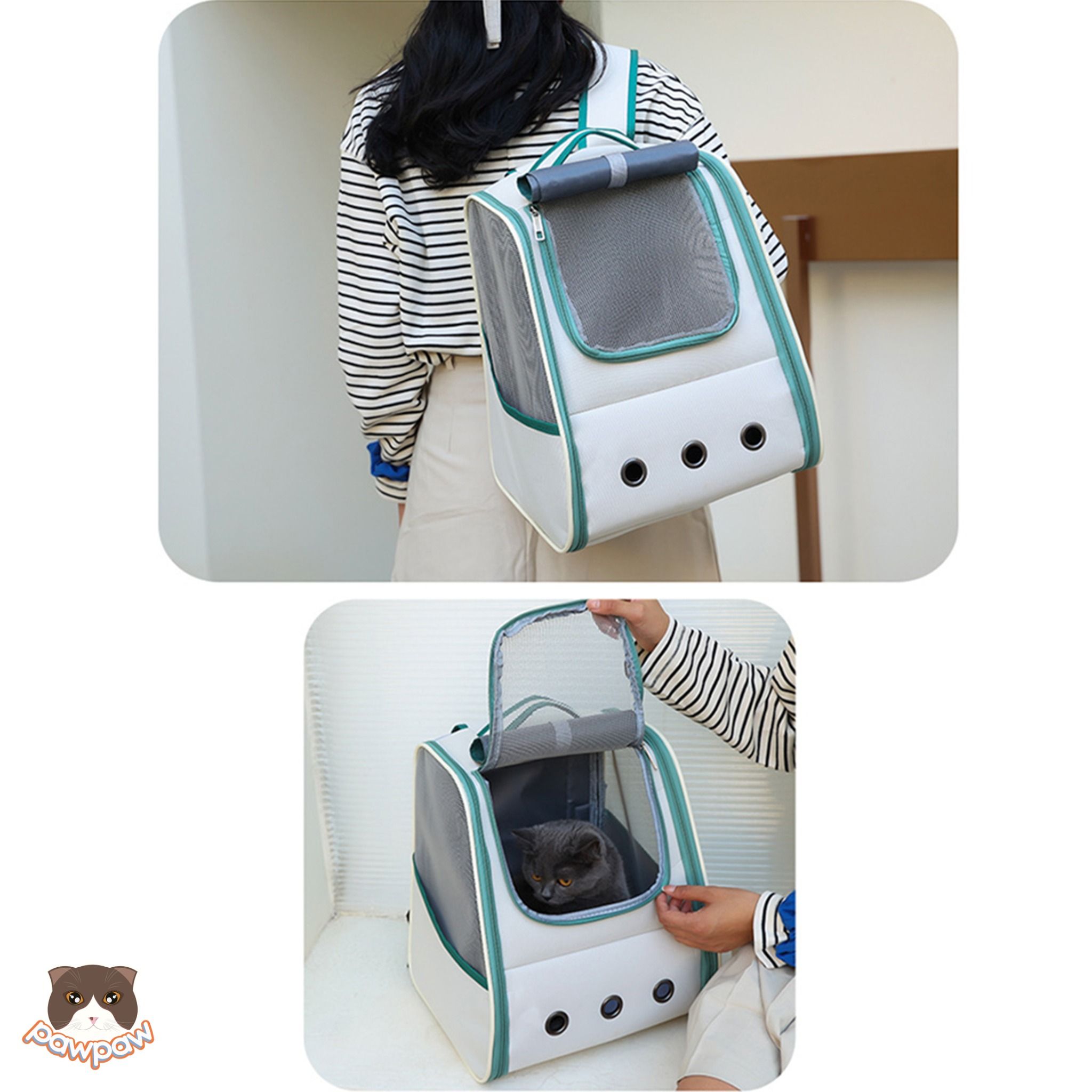 Balo vải Hello Cat nắp trong suốt cho chó mèo