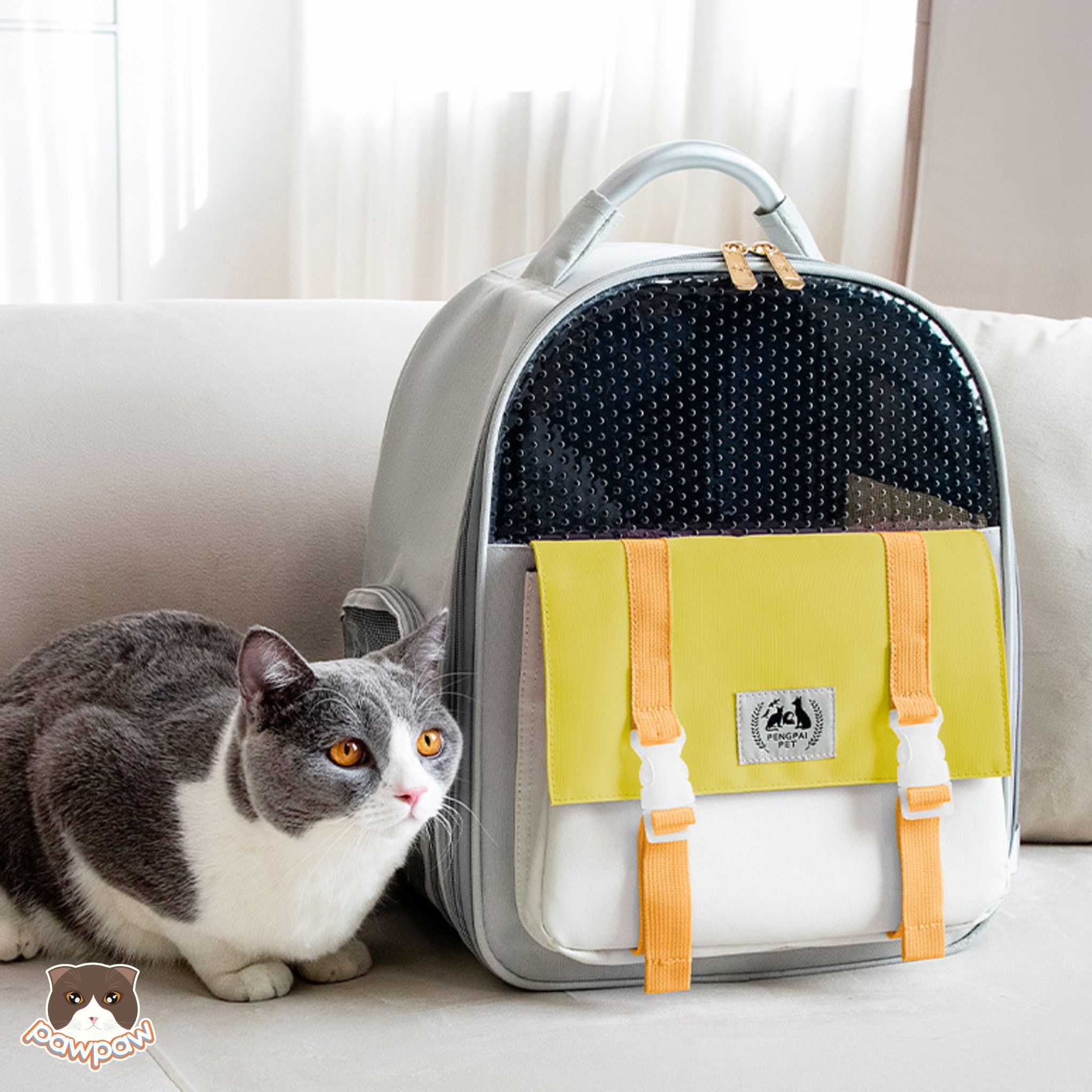 Balo PengPai nhiều màu cho chó mèo