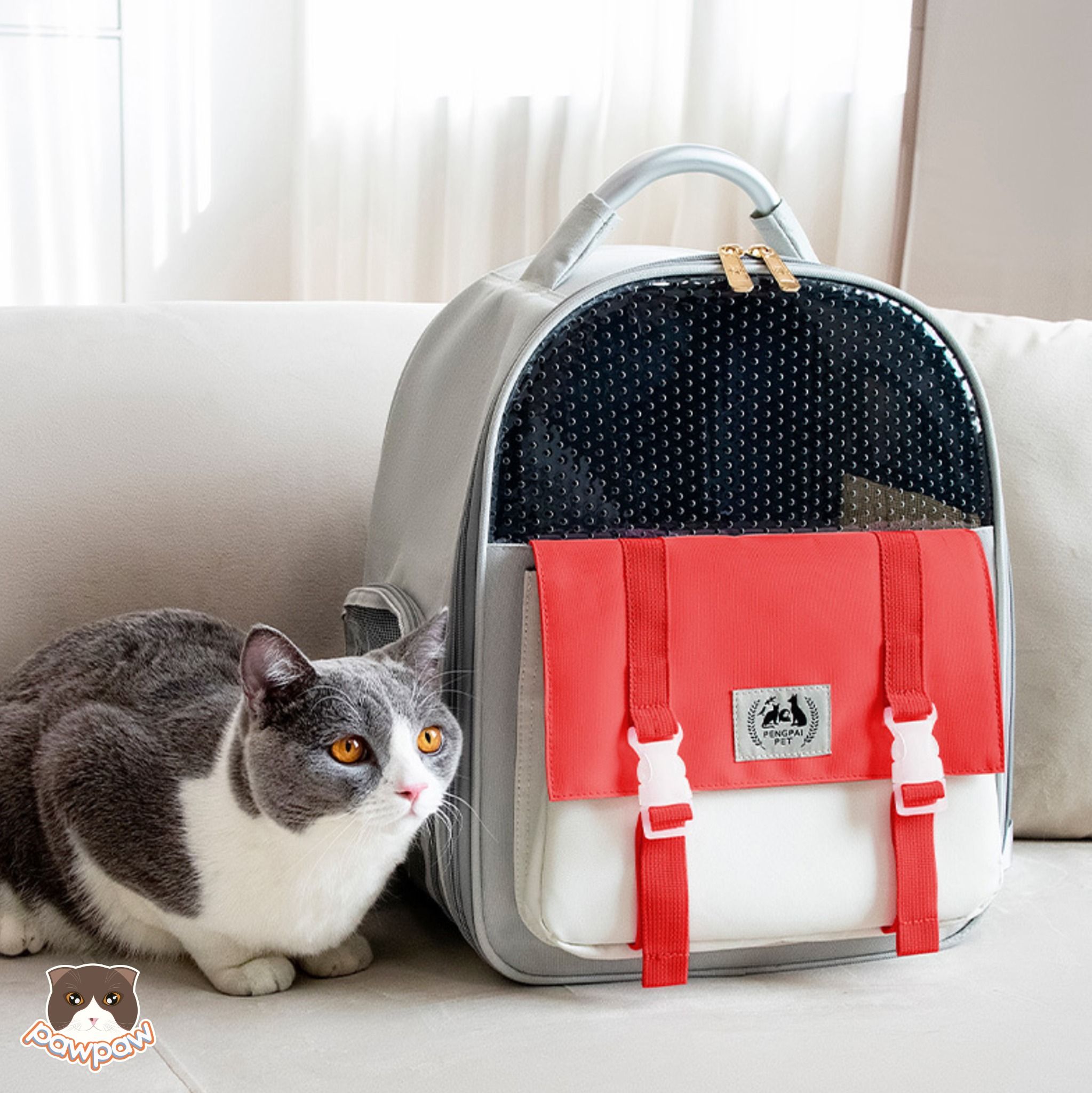 Balo PengPai nhiều màu cho chó mèo