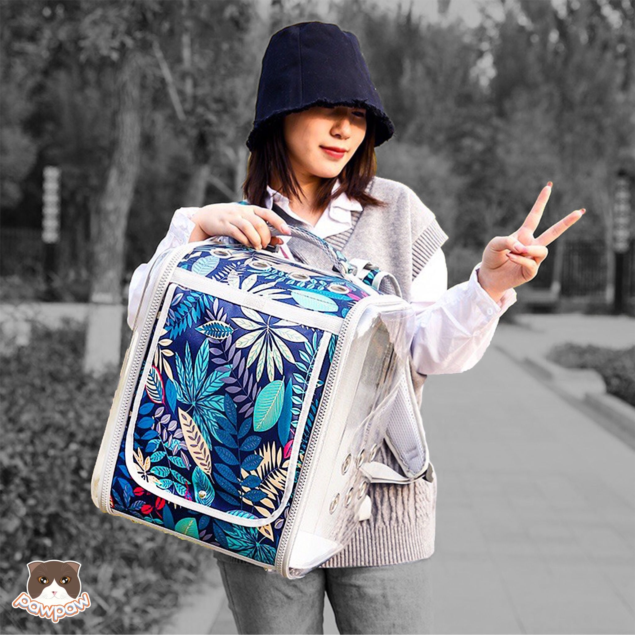 Balo vuông trong suốt cho chó mèo