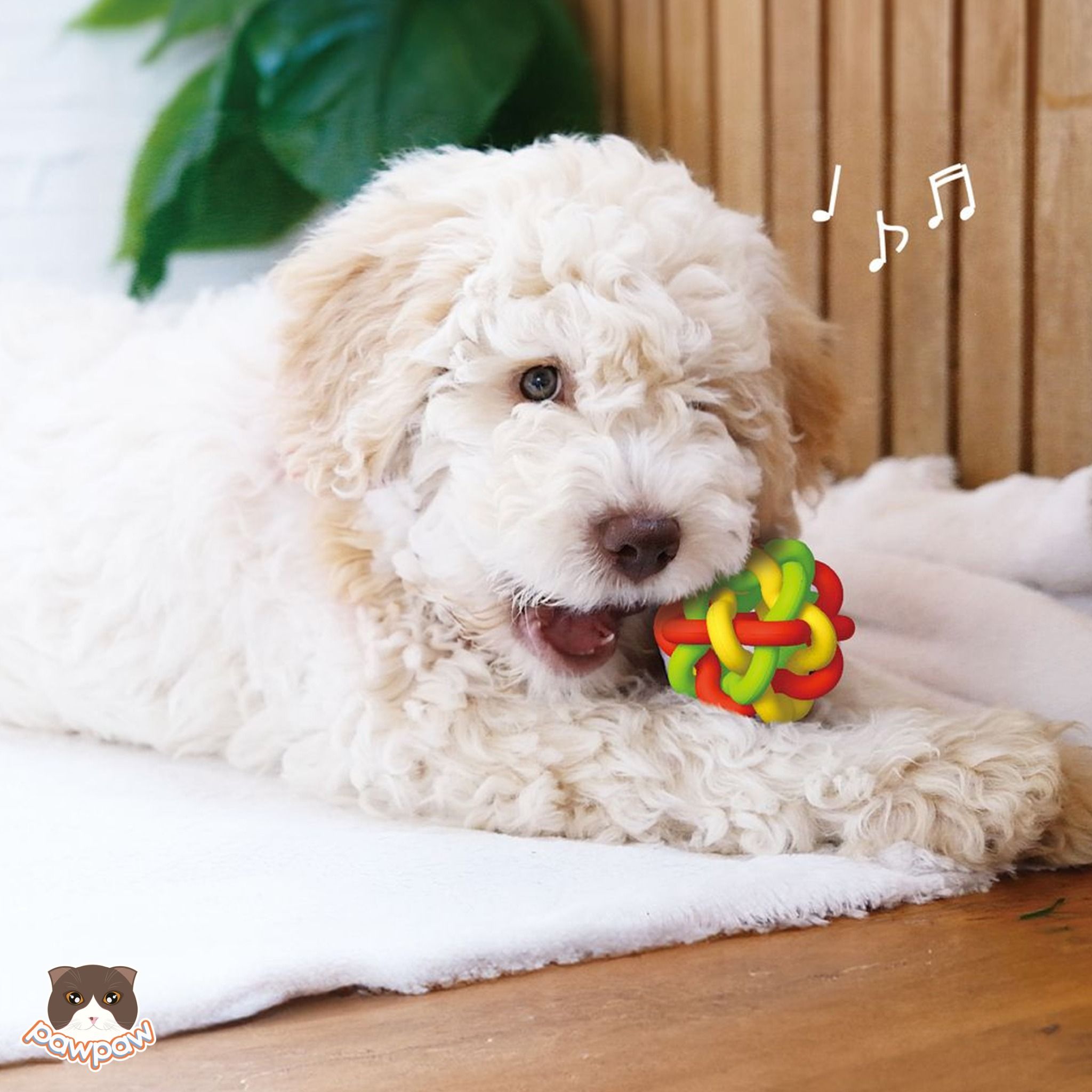Banh đan cao su 3 màu Doggyman cho chó mèo