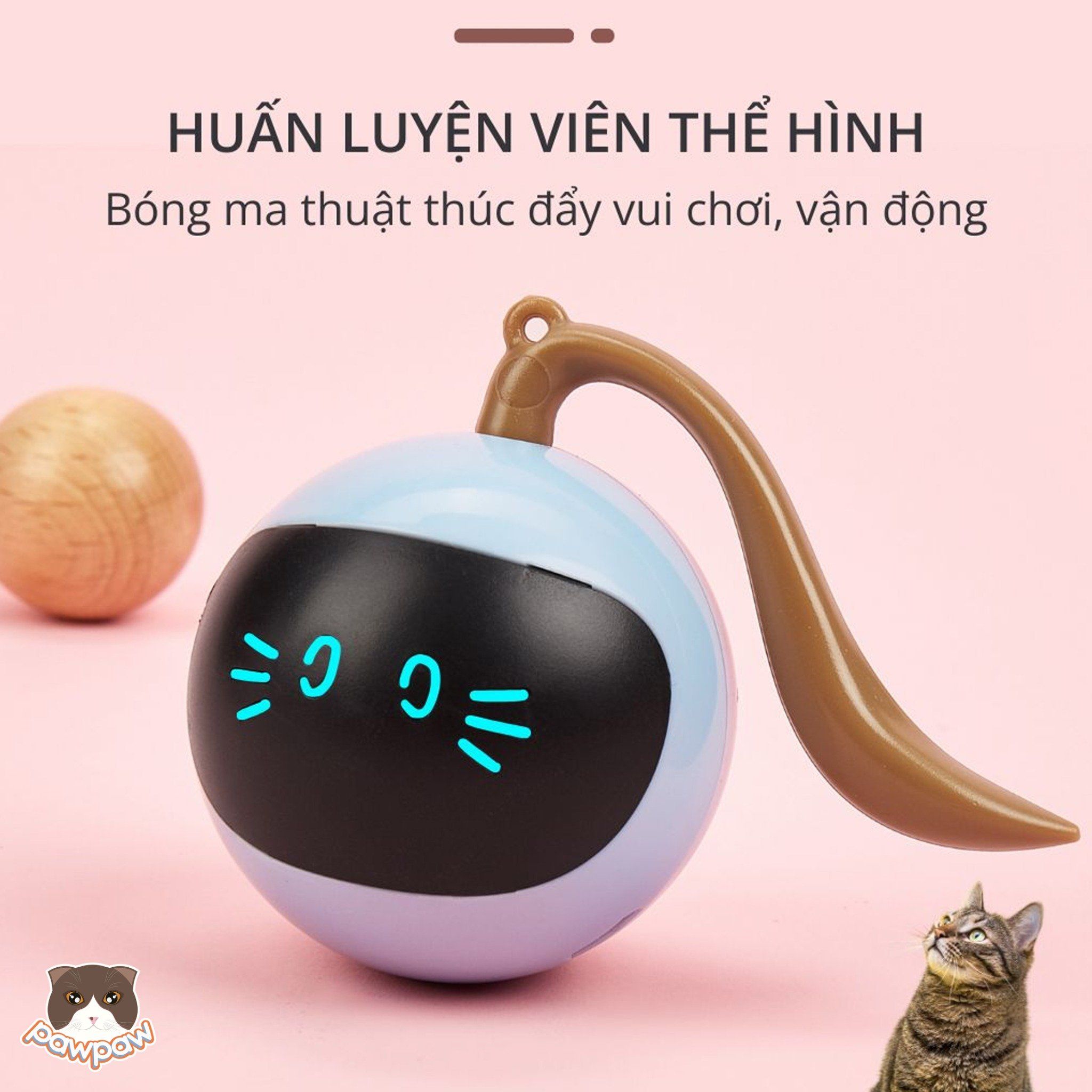 Đồ chơi bóng ma thuật FOFOS cho mèo