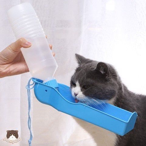 Bình nước du lịch nhựa cho chó mèo
