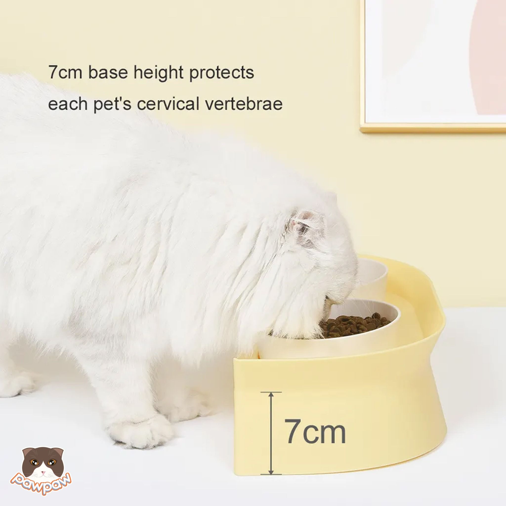 Bộ bàn & chén đôi sứ Pakeway cho mèo
