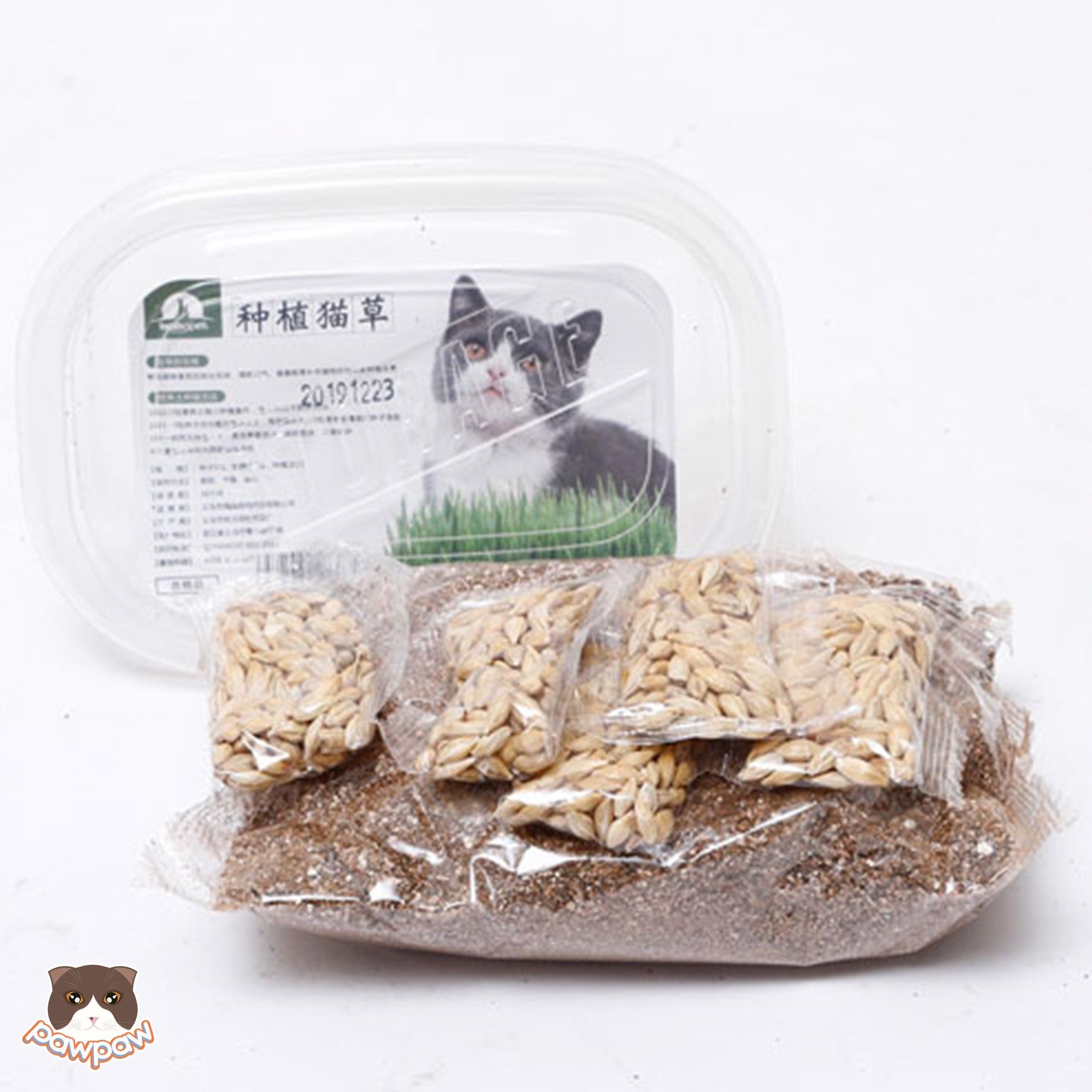 Bộ trồng hạt giống cỏ mèo