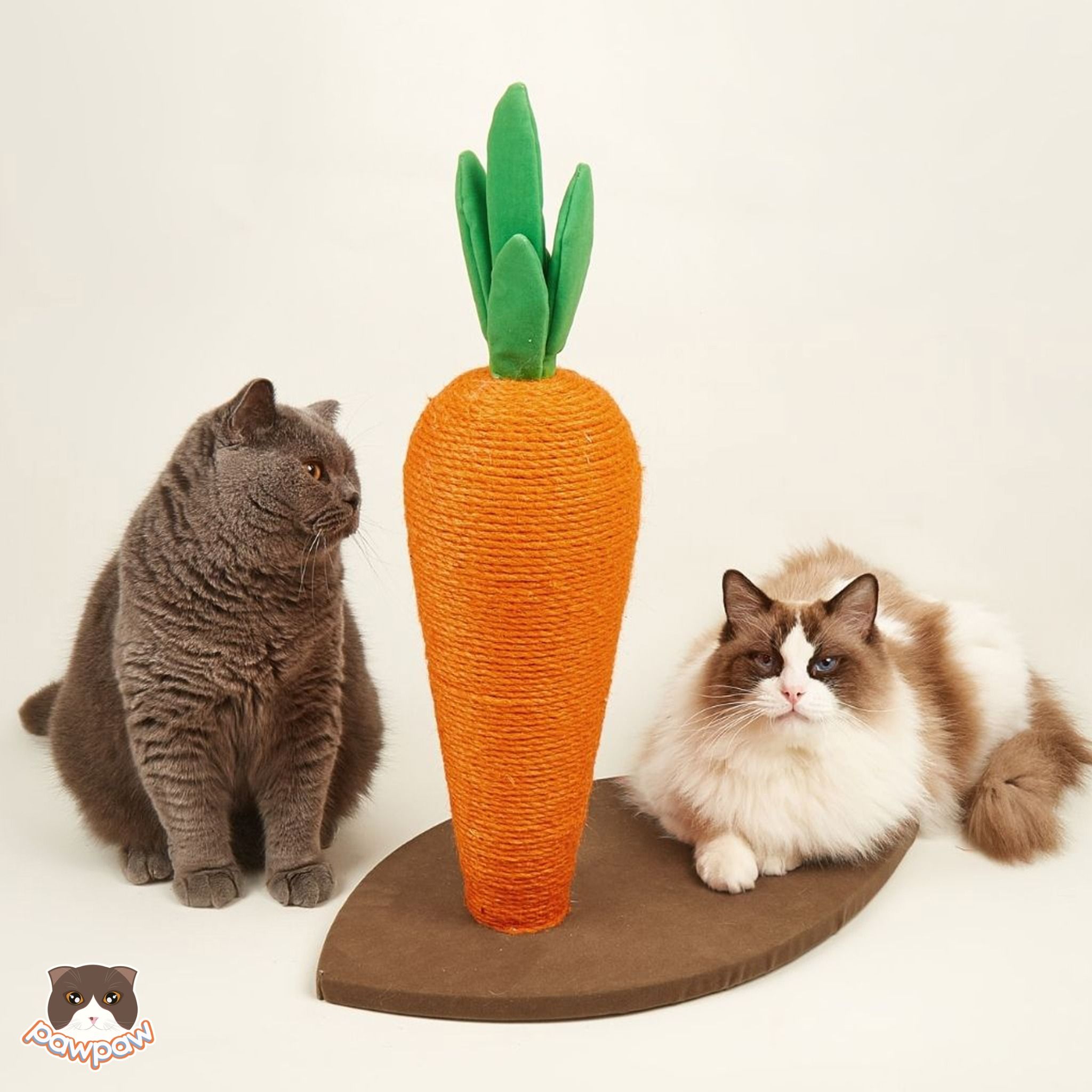Bàn cào móng hình cà rốt cho mèo