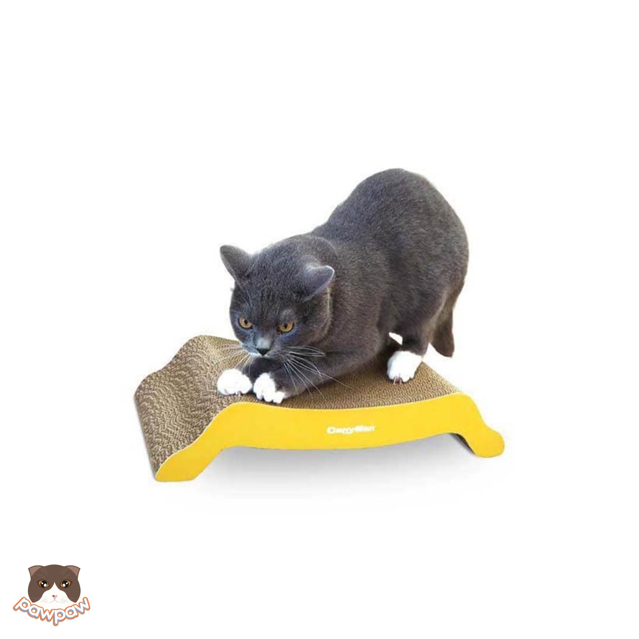 Bàn cào móng carton hình M Cattyman cho mèo