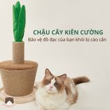  Trụ cào móng hình chậu cây cho mèo 