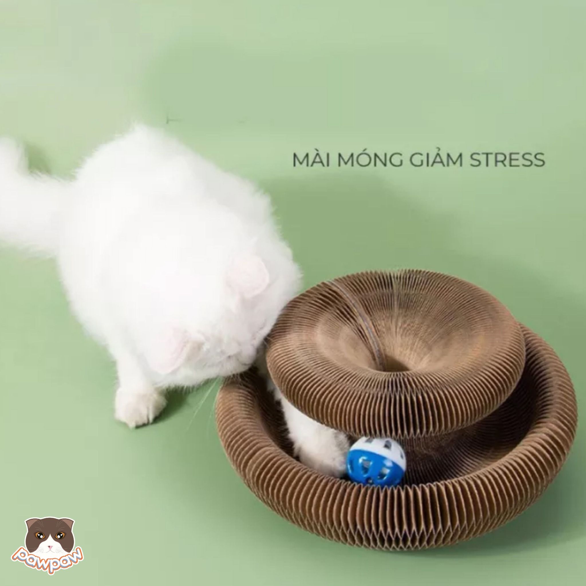 Vòng cào móng ma thuật cho mèo