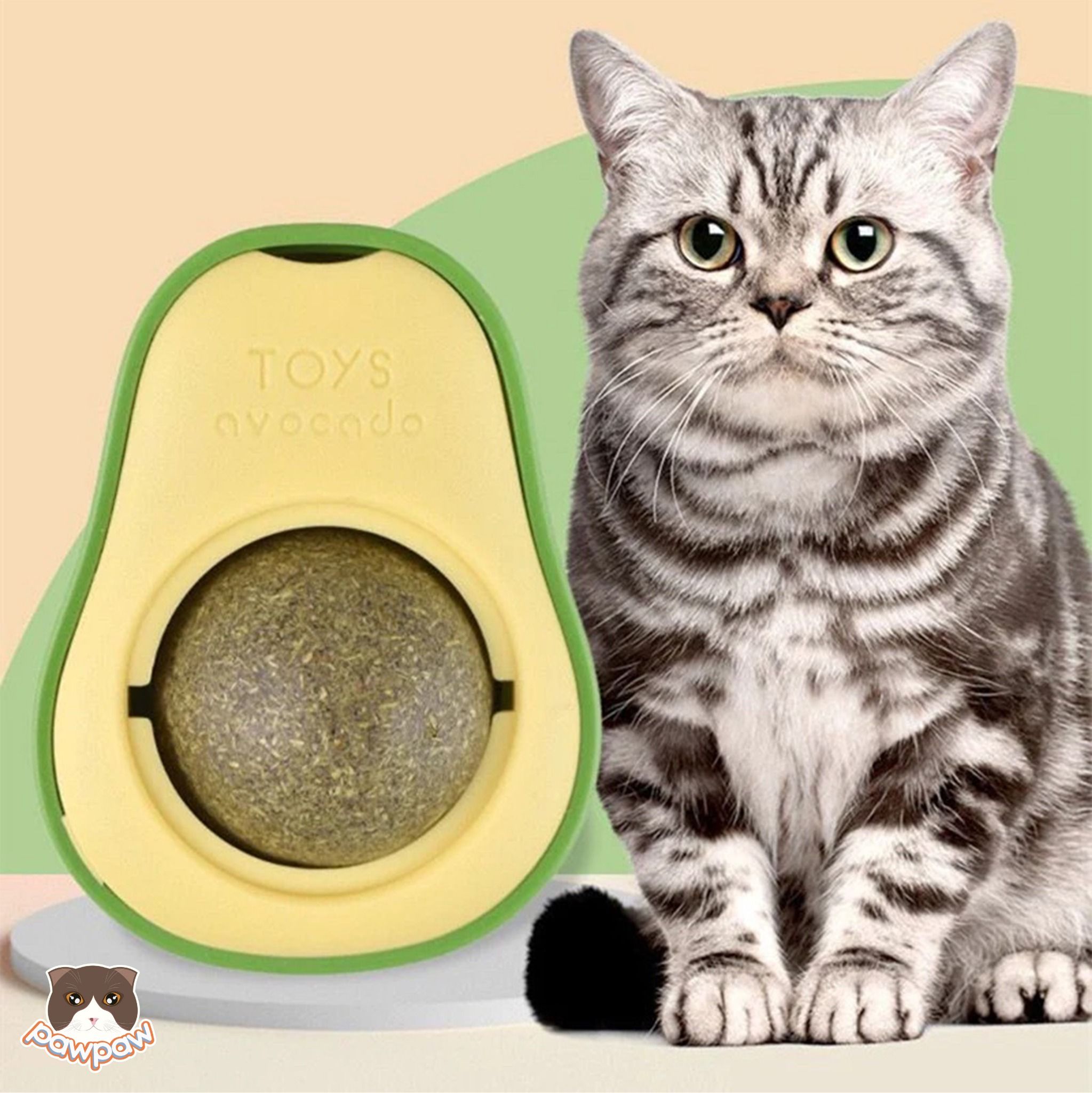 Kẹo dán tường Catnip hình quả bơ cho mèo