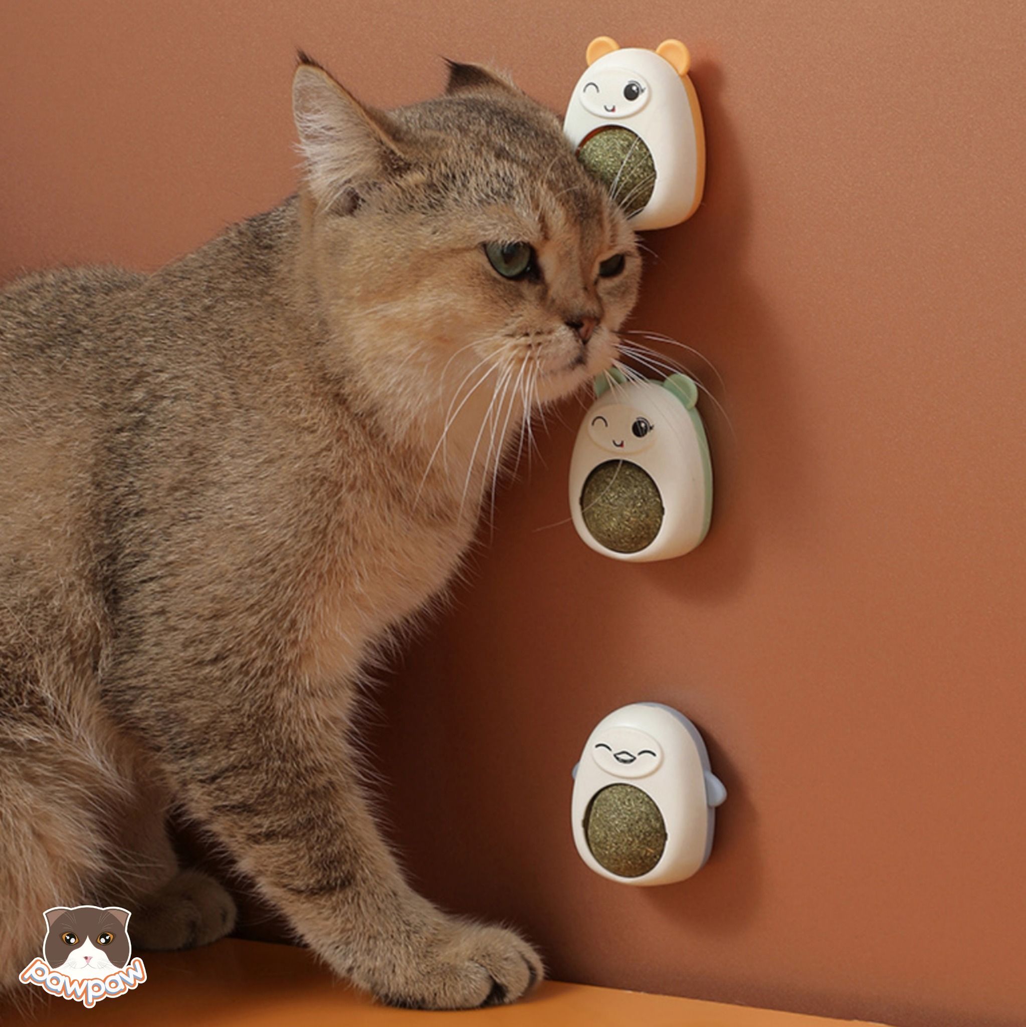 Kẹo dán tường Catnip hoạt hình cho mèo
