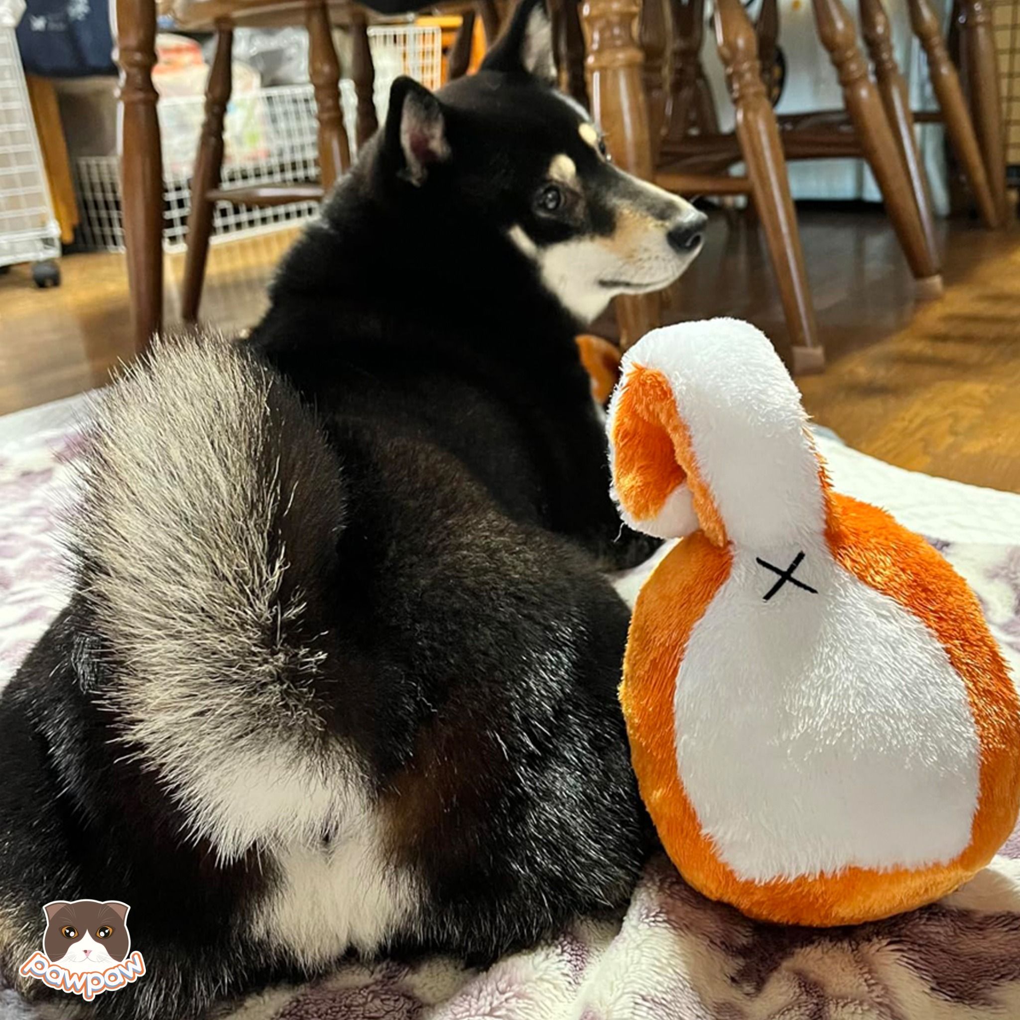 Banh hình đuôi chó Shiba Doggyman cho chó