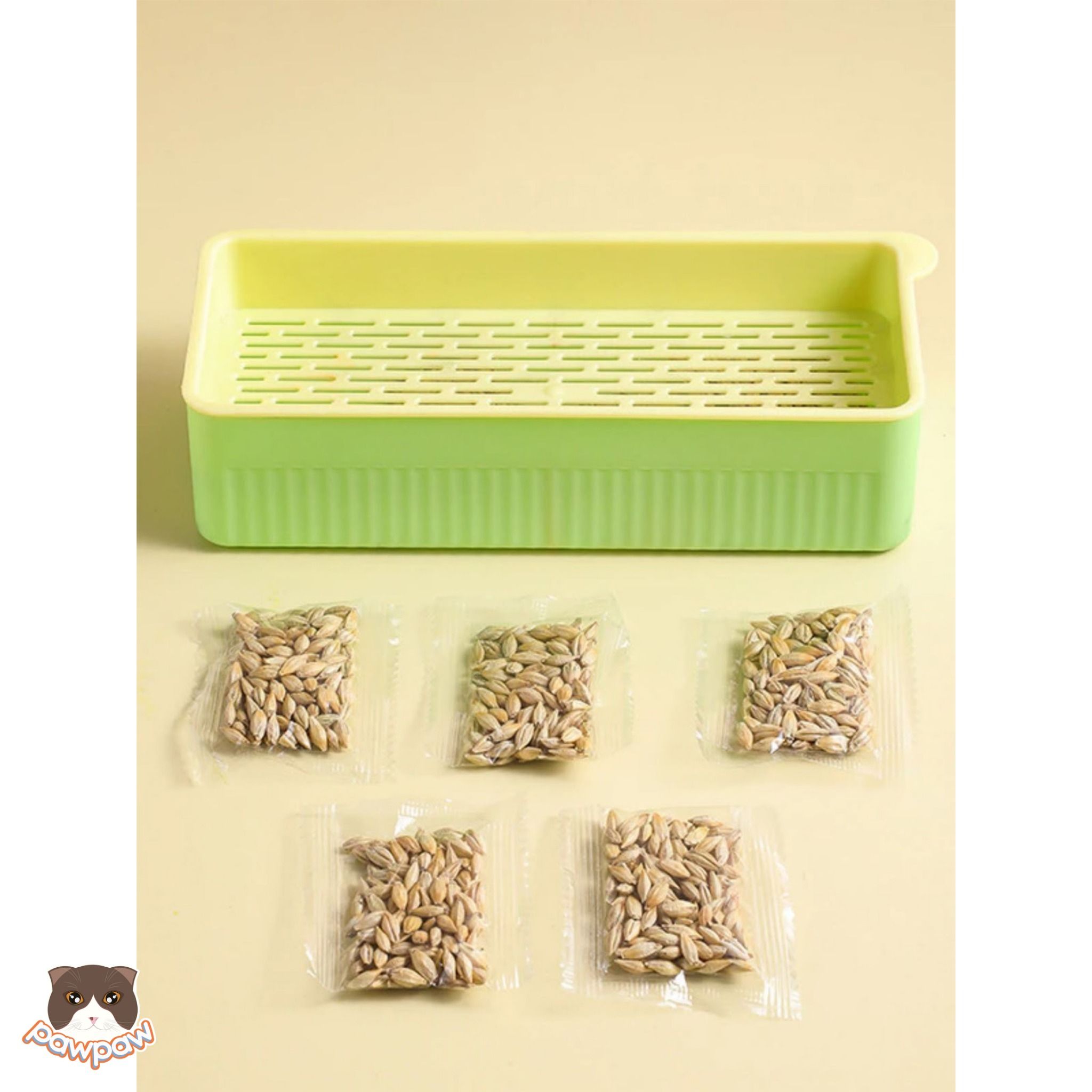 Bộ khay trồng cỏ mèo thủy canh cho mèo