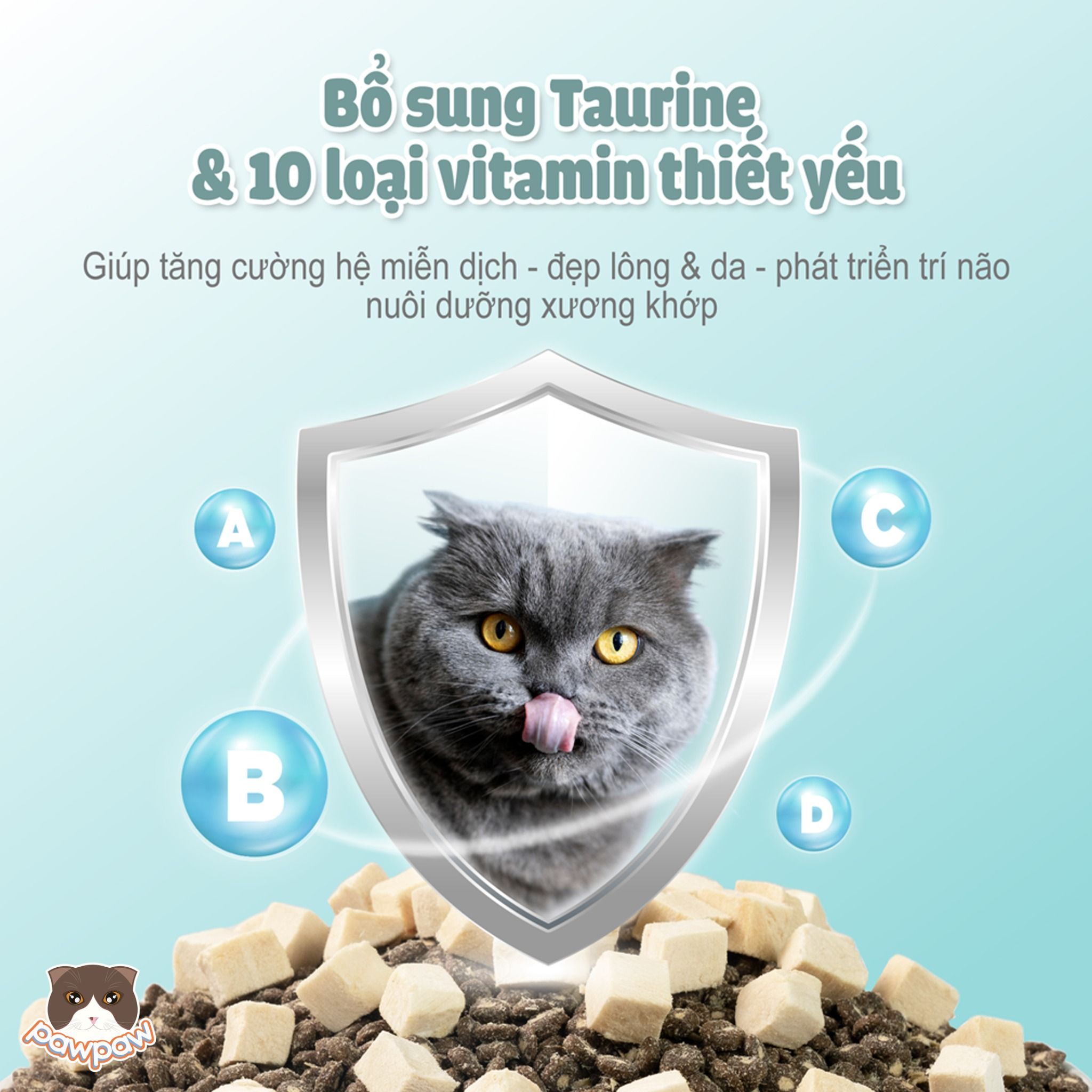 Hạt PetQ D10 trộn thịt sấy gói 200g cho mèo trưởng thành