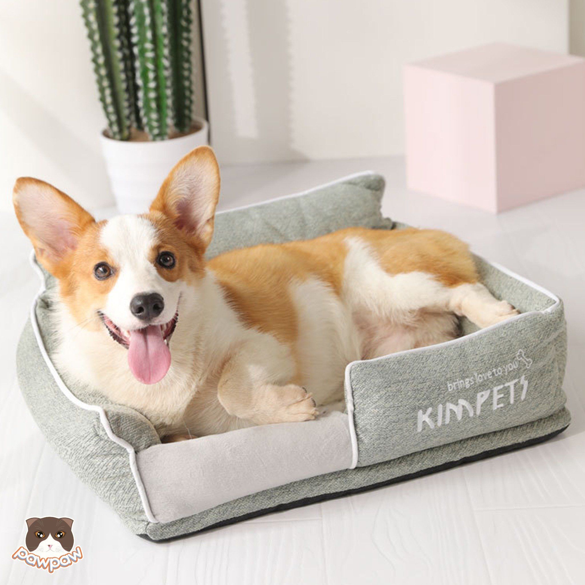 Đệm cao cấp kèm gối Kim's Pet cho chó mèo