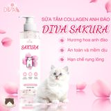  Sữa tắm collagen hương anh đào Diva Sakura 265ml cho mèo 