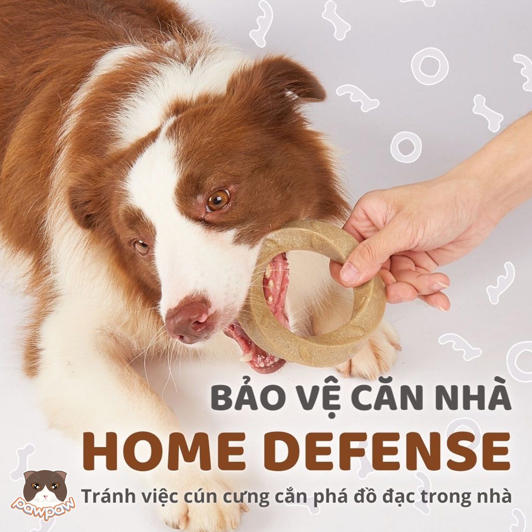 Đồ chơi gặm gỗ Wooden FOFOS cho chó