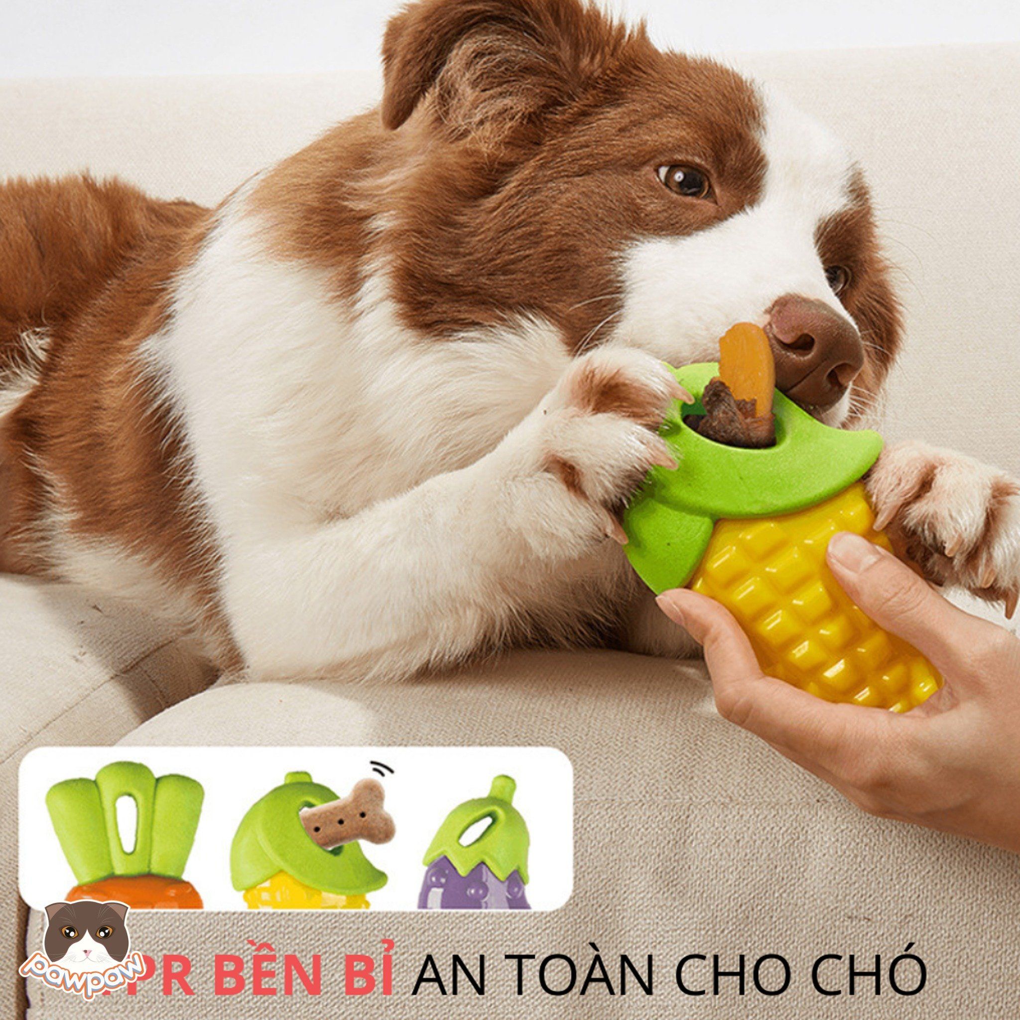 Đồ chơi gặm phát ra tiếng hình rau củ FOFOS cho chó