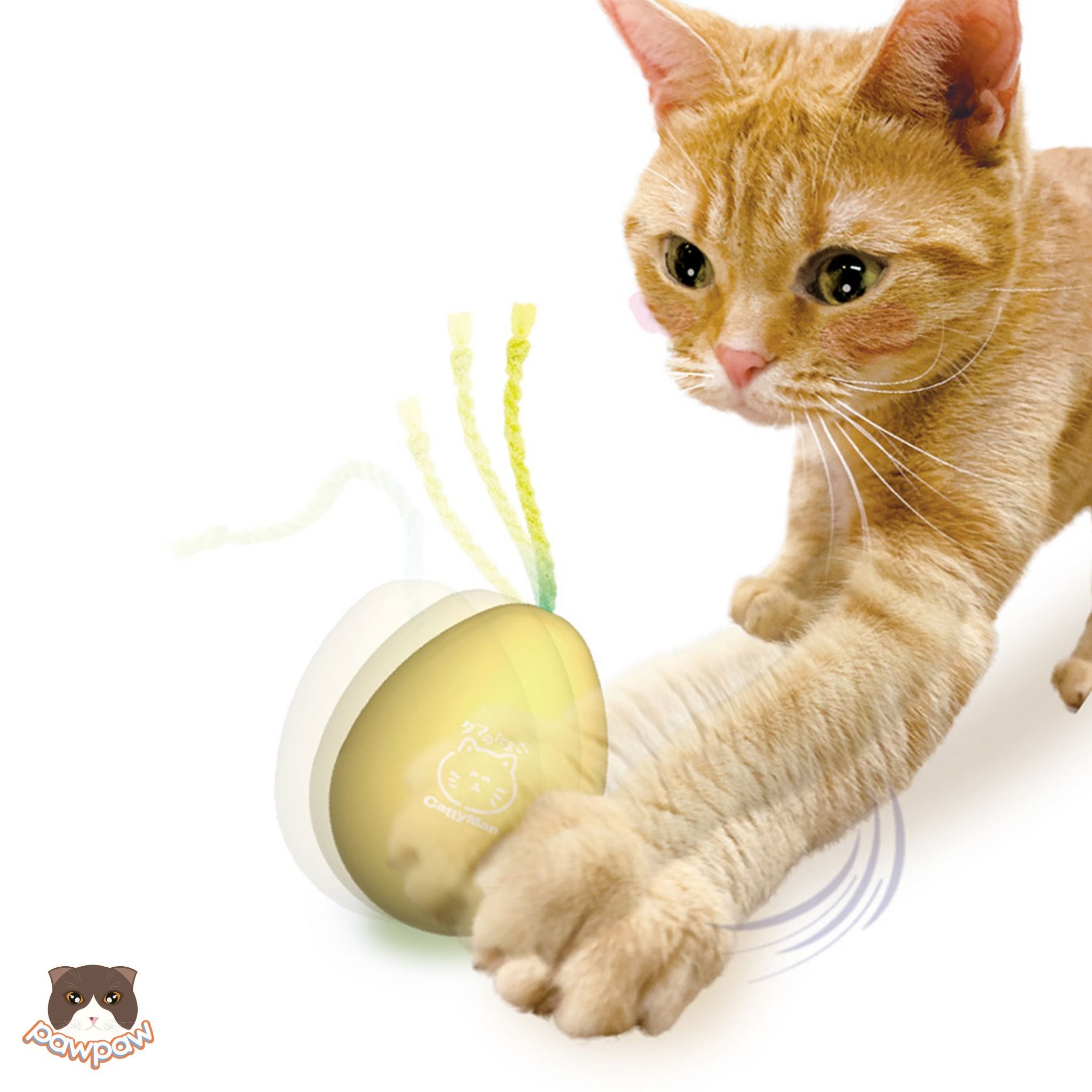 Set đồ chơi 4 trứng nhựa Cattyman cho mèo