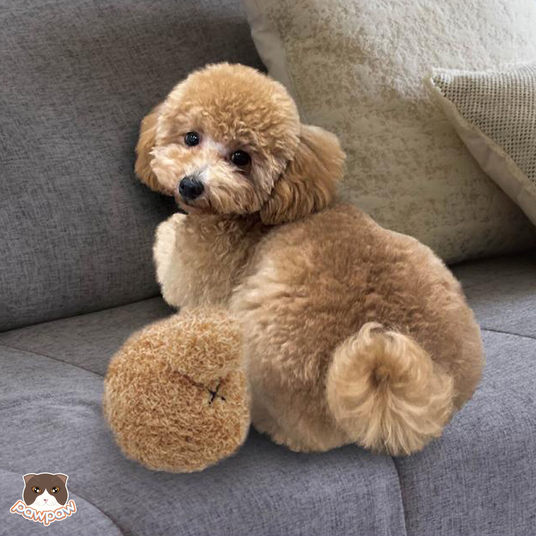 Banh hình đuôi chó Poodle Doggyman cho chó