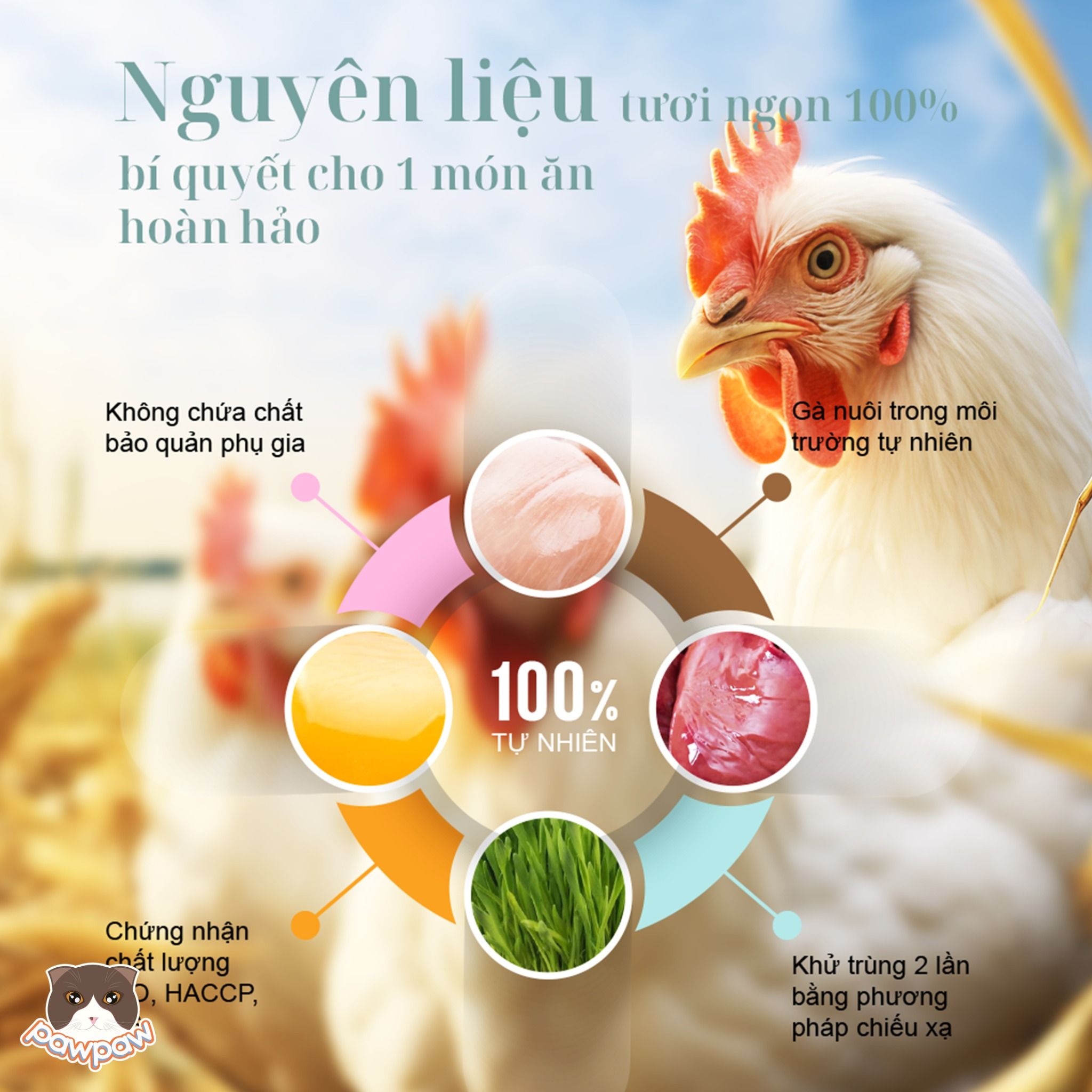 Thịt sấy đông khô PetQ cho mèo